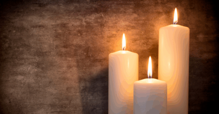 Newsletter: November 2025