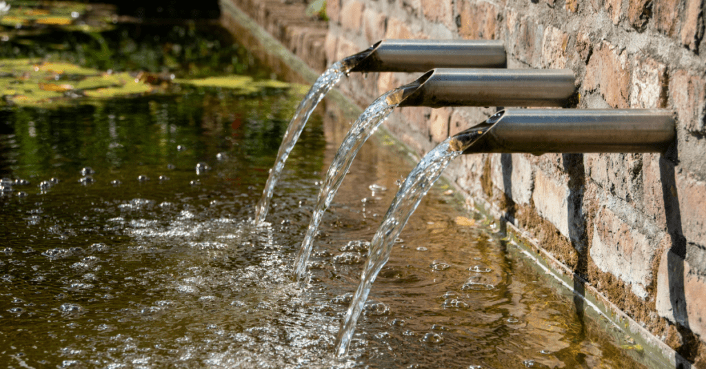 Newsletter: February 2026