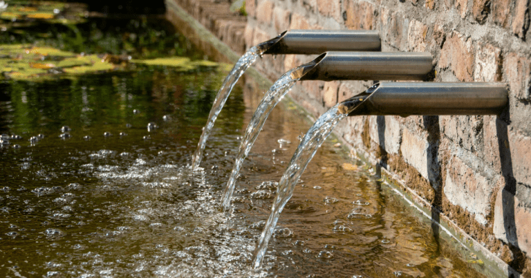 Newsletter: February 2026