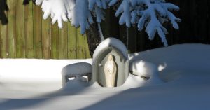 Newsletter: January 2026